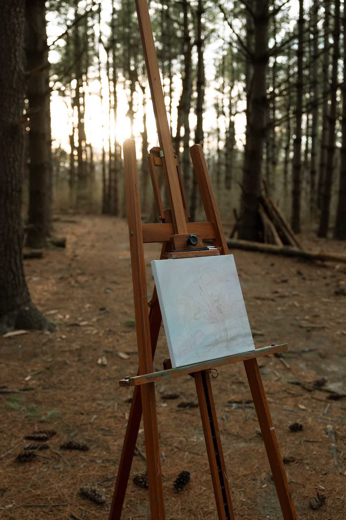 A wooden easel with a small canvas standing in a quiet pine forest at golden hour